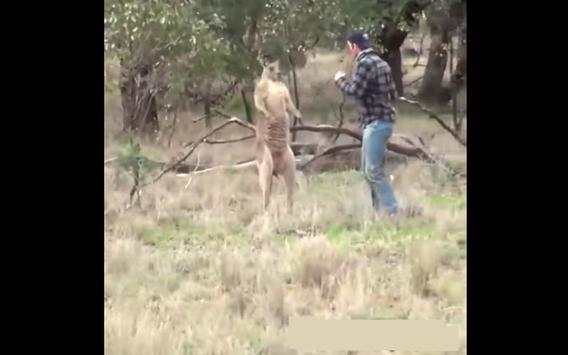 Funny Dubbing Voice: Video Madlipz screenshot 4