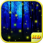 Night HD Live Wallpaper 5.0.1