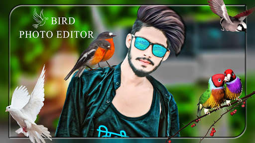 Bird Photo Editor screenshot 4