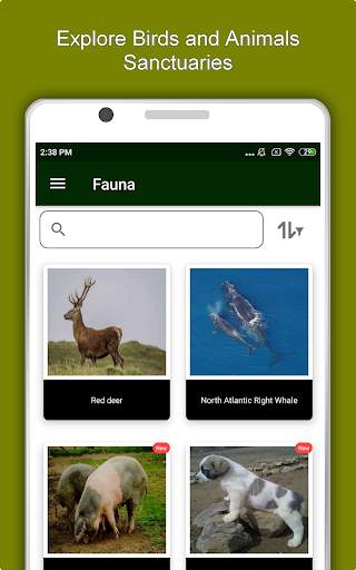 Evora Travel & Explore, Offlin screenshot 13