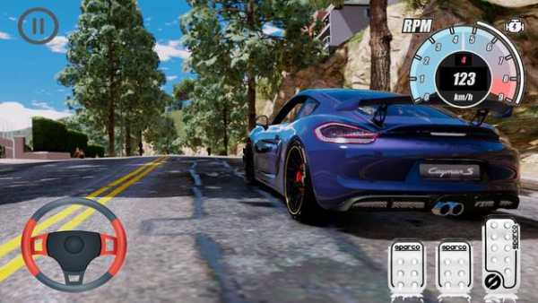 Top Simulator Porsche Cayman GT4 Edition screenshot 2