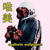 aesthetic wallpaper HD on 9Apps