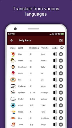 Minato Travel & Explore, Offline Tourist Guide screenshot 7