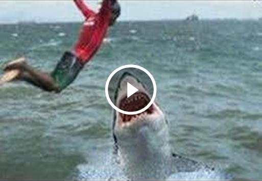 Latest Funny Videos screenshot 3