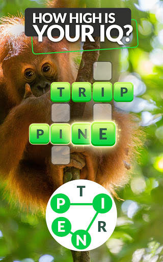 Words and Animals - Crosswords screenshot 11