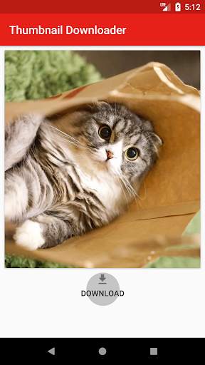 Video Thumbnail Downloader 3 تصوير الشاشة
