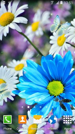 Daisies Flowers Live Wallpaper screenshot 3