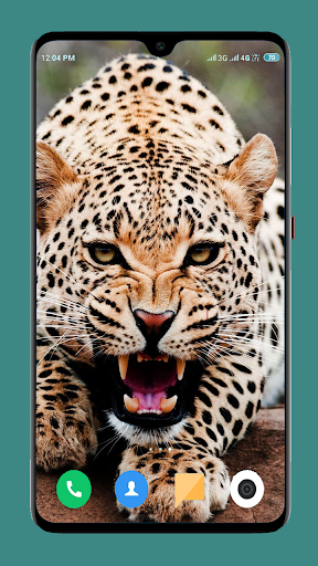 Wild Animal Wallpaper 4K 7 تصوير الشاشة
