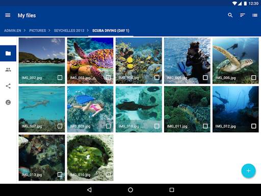 IONOS HiDrive screenshot 9