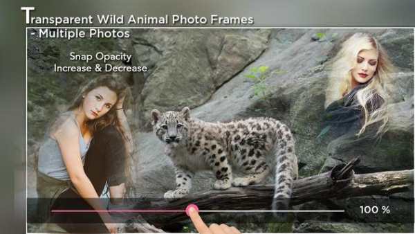 Transparent Wild Animal Photo Frame - Multi Photos screenshot 2