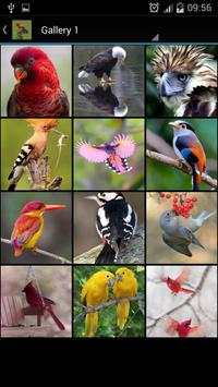 Bird Ideas screenshot 5