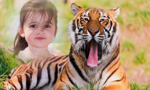 Tiger Photo Frame screenshot 1