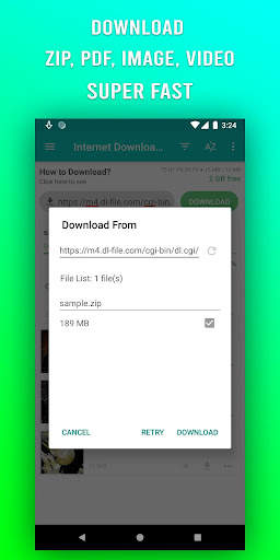 File Downloader screenshot 2