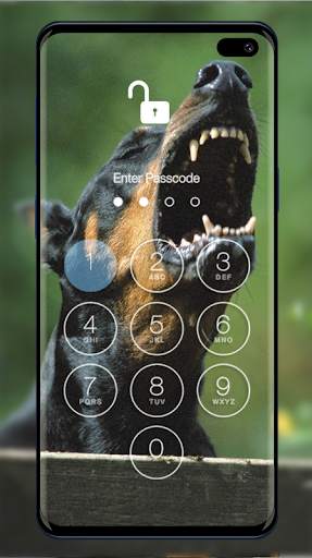 Doberman Wallpapers & Lock Screen screenshot 3