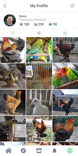 BirdsTown - Social network for bird breeders screenshot 2