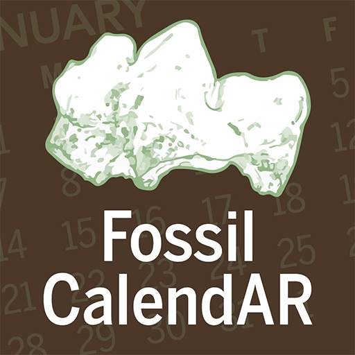 Fossil CalendAR 2.0