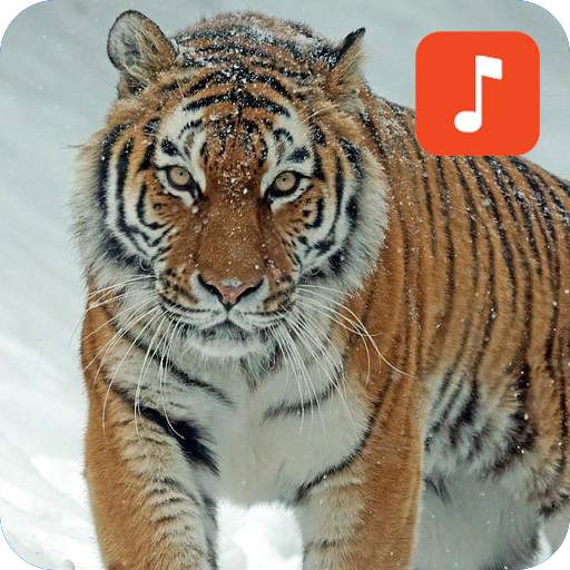 Tiger Sound Ringtones 1.0.4