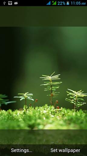 Top Nature Live Wallpapers screenshot 6
