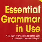 English Grammar in Use 3.6