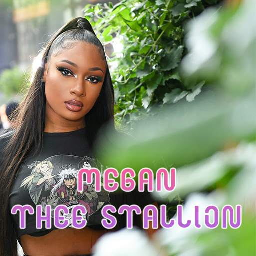 Megan Thee Stallion - Latest Song 2020 1.2