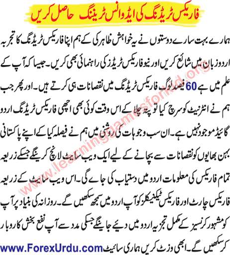 How to Earn Money in Urdu screenshot 3