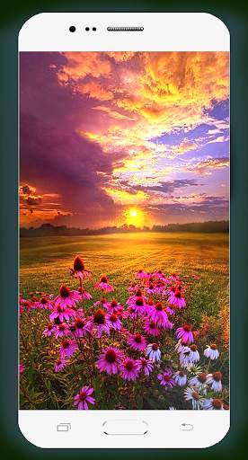 Spring Wallpaper HD screenshot 12