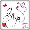 Name Art - Focus N Filter 1.3.2