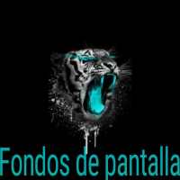 Fondos de pantalla peft on 9Apps