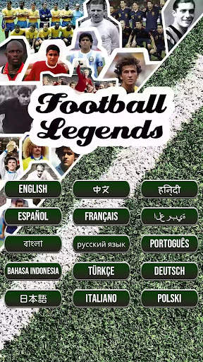 Football Legends screenshot 6