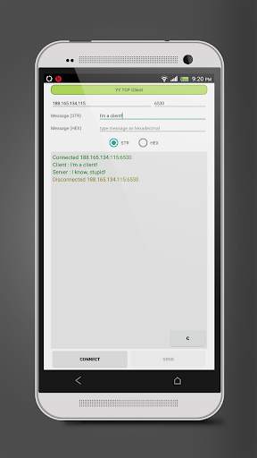 TCP Client screenshot 1