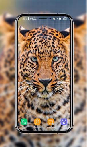 New Cheetah Wallpapers screenshot 1