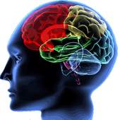 Weight Loss Theta Hypnosis 1.01