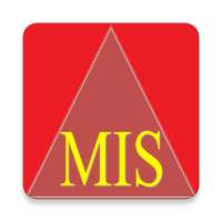 Management Information System icon
