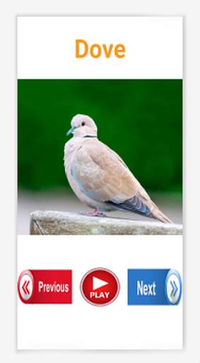 Birds And Animals Sounds Offline 2021 screenshot 6