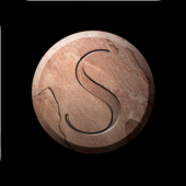Am Stone Realtor icon