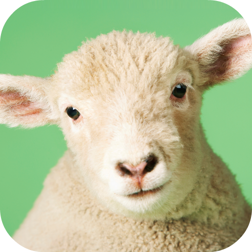 Sheep Sounds icon