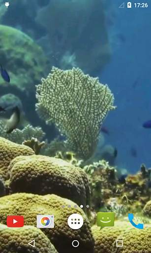 Marine Aquarium Live Wallpaper screenshot 4