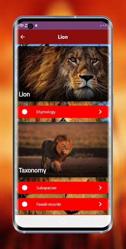 lion king screenshot 1