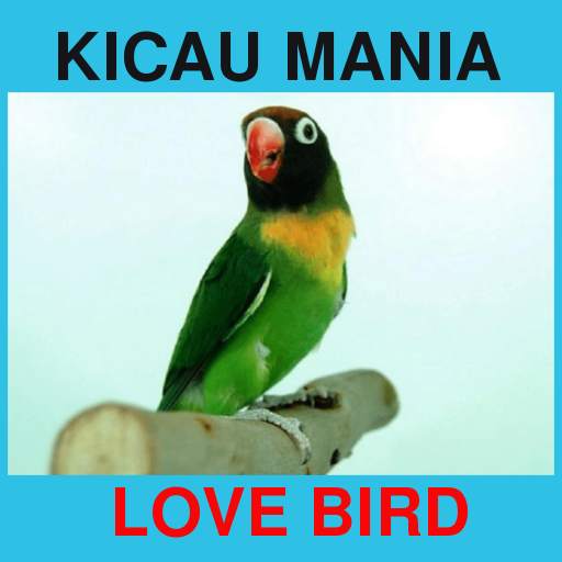 Suara Kicau Love Bird Juara Offline 2.0