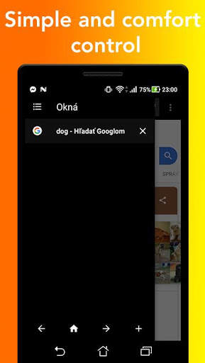 Jet Browser - Fast Internet Browser screenshot 2
