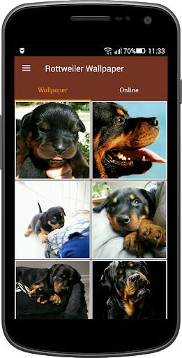 Rottweiler Wallpaper screenshot 1