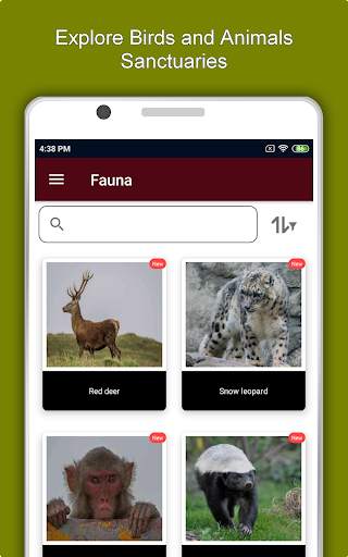Kathmandu Travel & Explore, Of screenshot 13