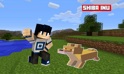 Mod Shiba Inu for Minecraft PE screenshot 2