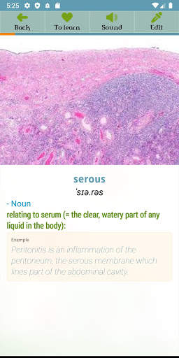 English conversation lesson screenshot 5