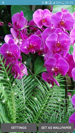 Orchid Live Wallpapers screenshot 5