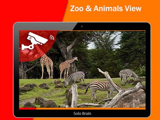 Earth Cam Live: Live Webcams, Public Cam view screenshot 4