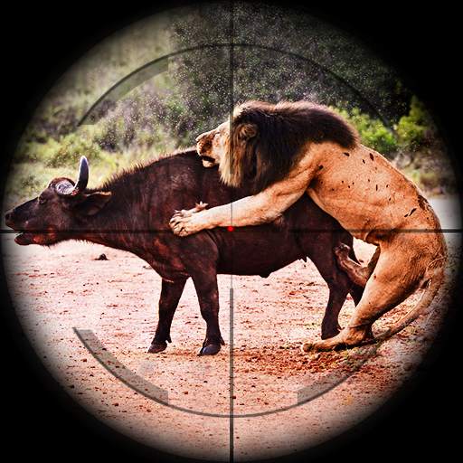Animal Hunting Games Gun Games 1.4.7