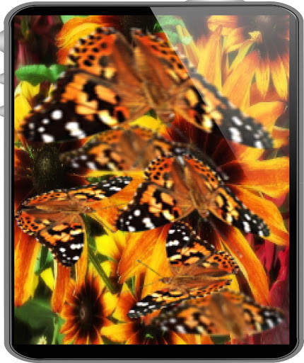 Butterfly Live Wallpaper LWP screenshot 2