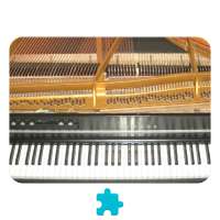 Electric Grand Piano *Plugin* logo