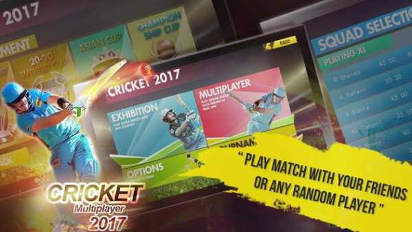 Cricket Multiplayer 2017 screenshot 1